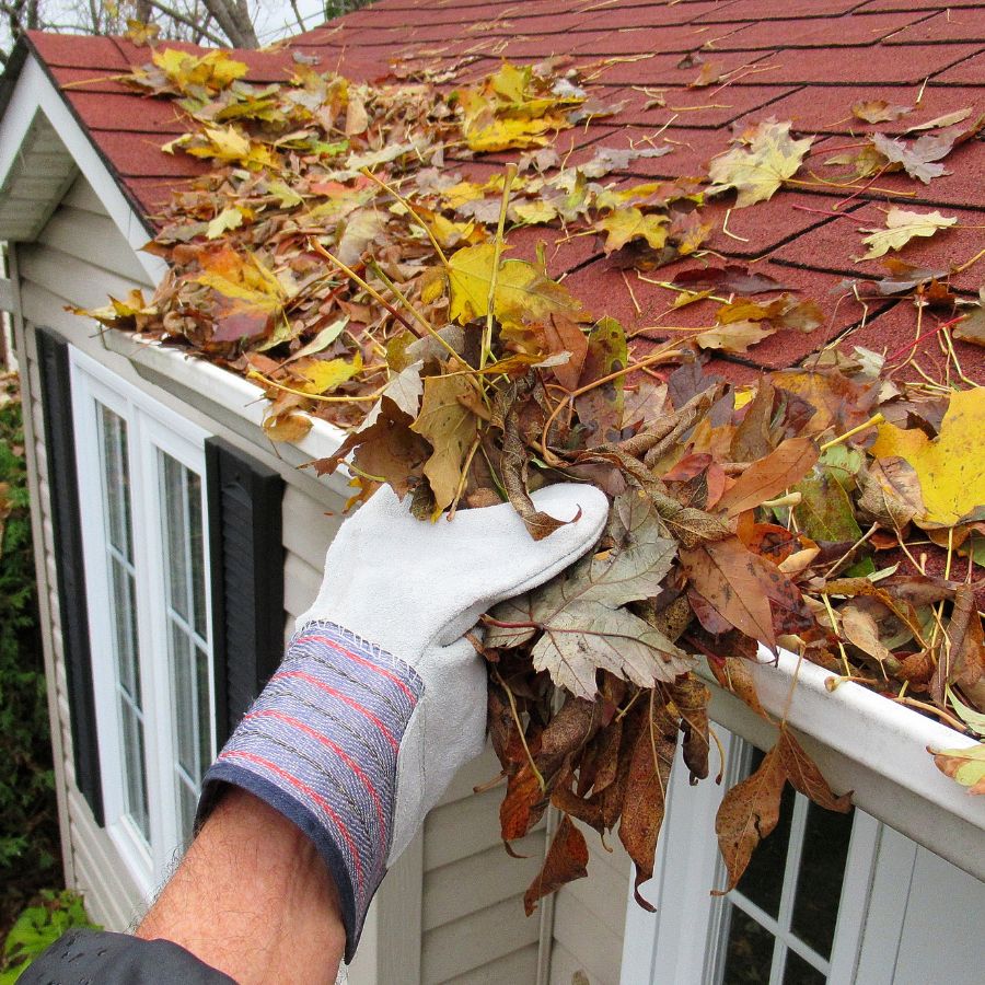 Ensure Proper Drainage with Spotless Gutters